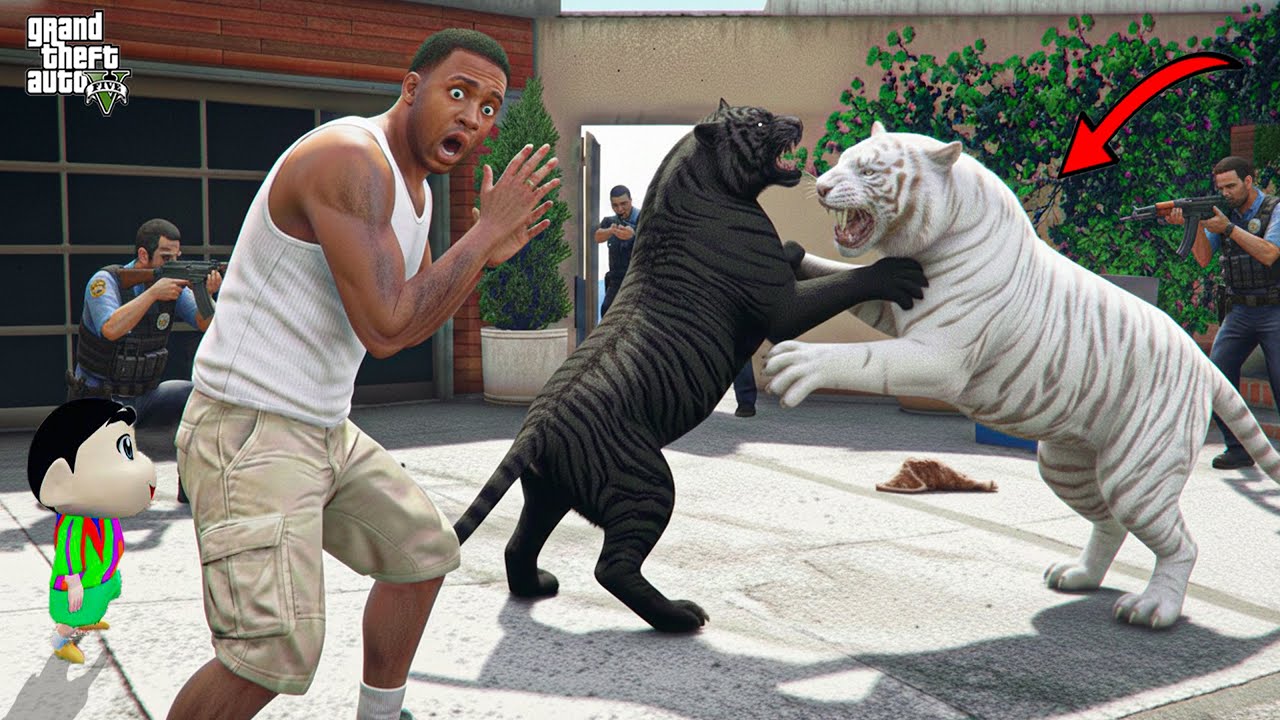 Franklin’s Black Tiger Attacked By Wild White Tigers In GTA 5