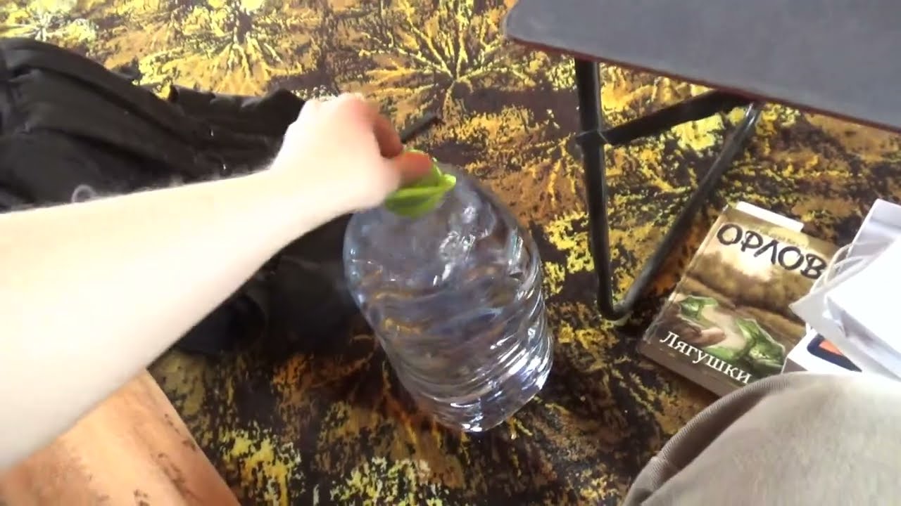 Великолепный денек на даче