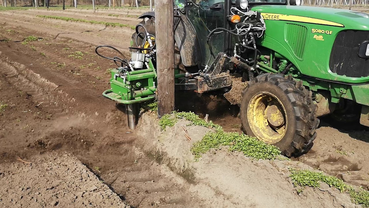 CHMIEL UPRAWA  2019 WIELKOPOLSKA hopfen