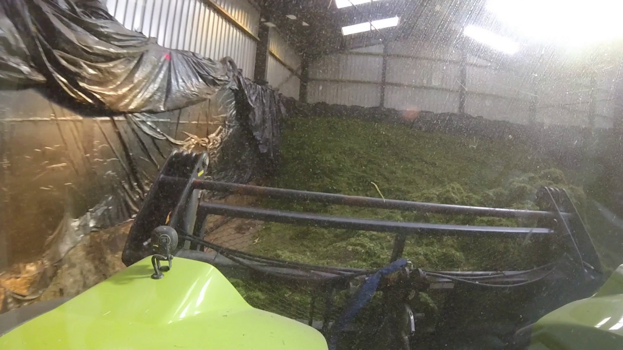 Buckraking 2nd cut 2016 with Claas Arion 650