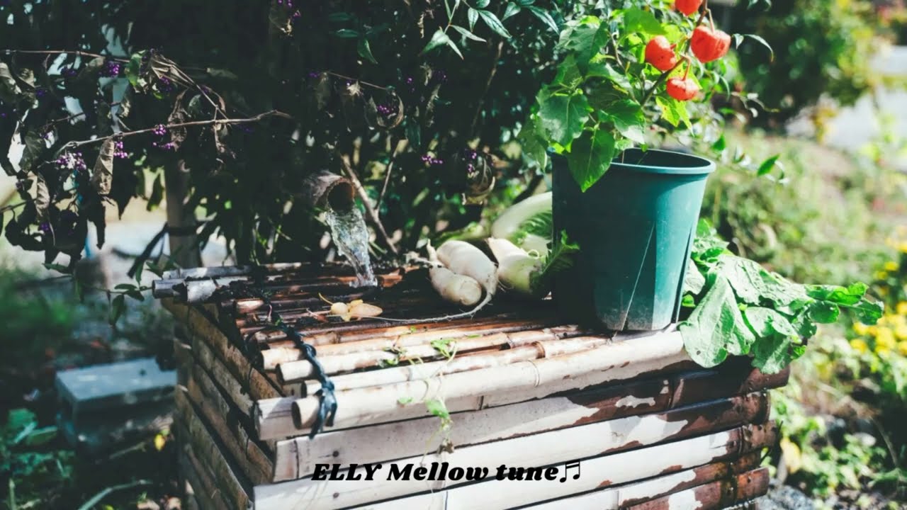 Sunlit Garden Sounds | BGM