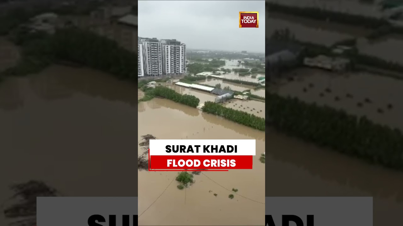 Surat Khadi Flood Crisis: Heavy Rain Leaves Several Areas Submerged #gujarat #floodalert #monsoon