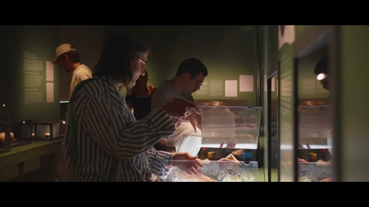 Week-end de réouverture du Musée Zoologique