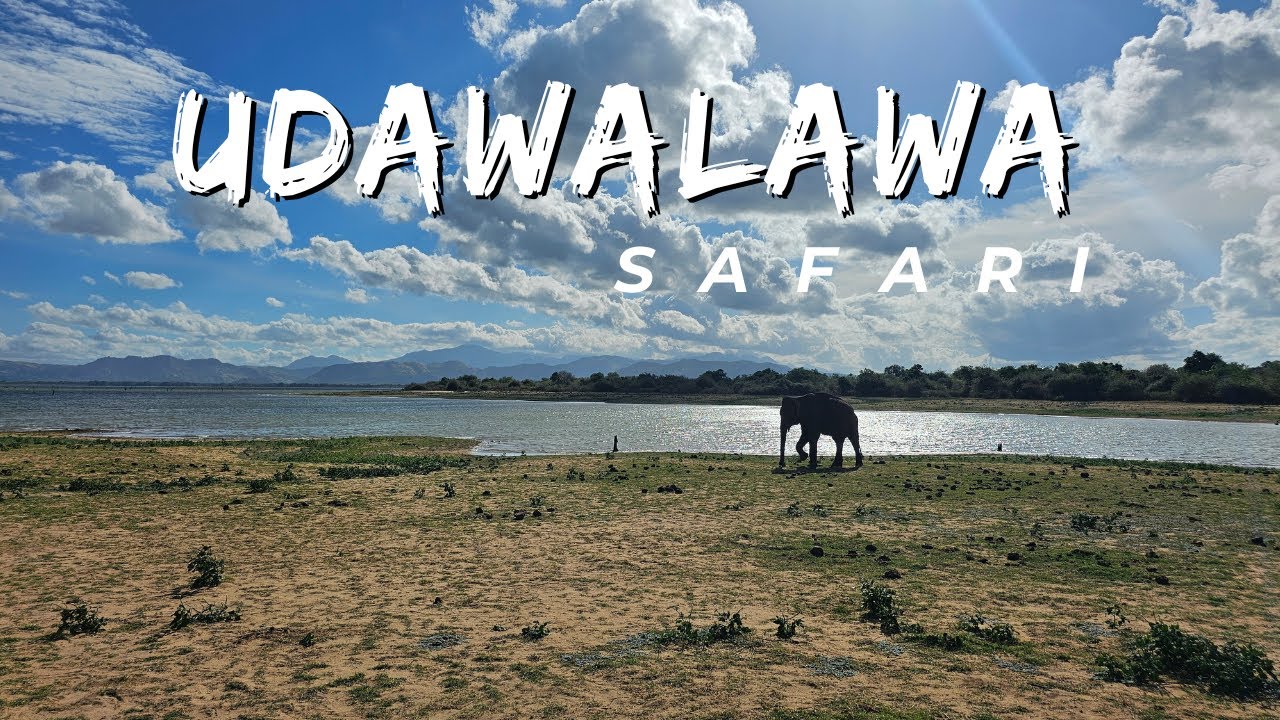 උඩවලව සෆාරි | වෙහෙරගොල්ල | Udawalawa Safari Vlog | Weheragolla Bungalow | 4K