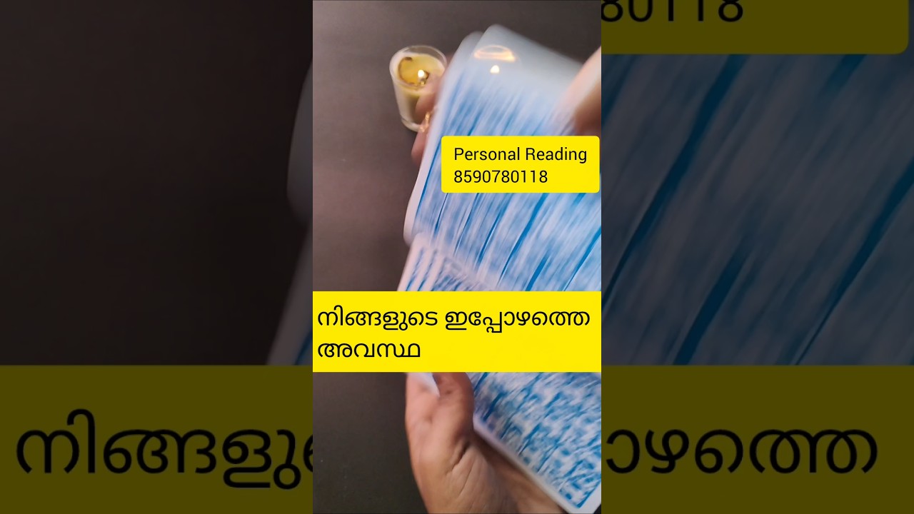 നിങ്ങളുടെ ഇപ്പോഴത്തെ അവസ്ഥ 🙏#timelessreading #tarotreading #collectivereading #generalreading