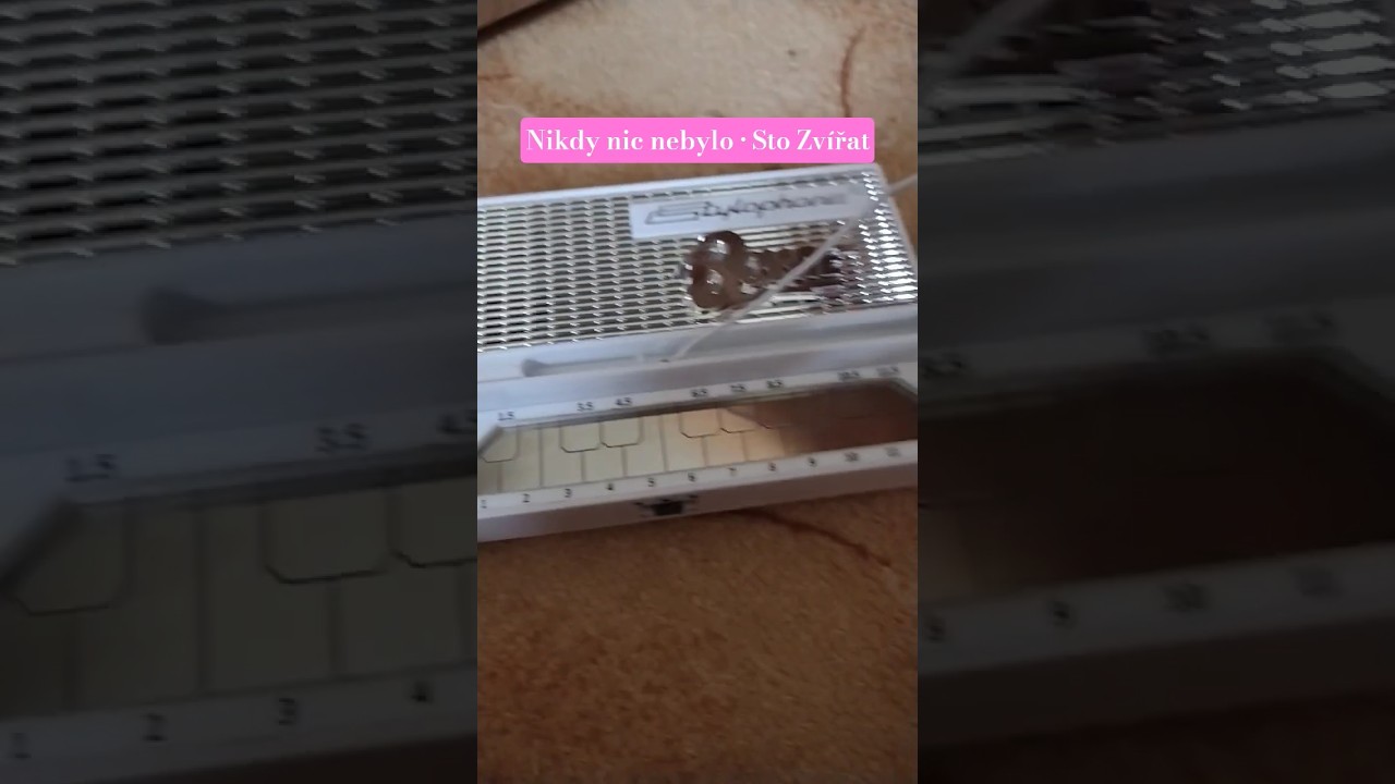 Nikdy nic nebylo &bull; Sto Zv&iacute;řat #stylophone #retro #music #speedsong #stylophones1