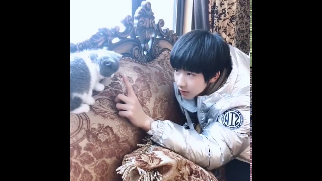 【Tf家族新生-贺峻霖 He JunLin】20190303 微视更新