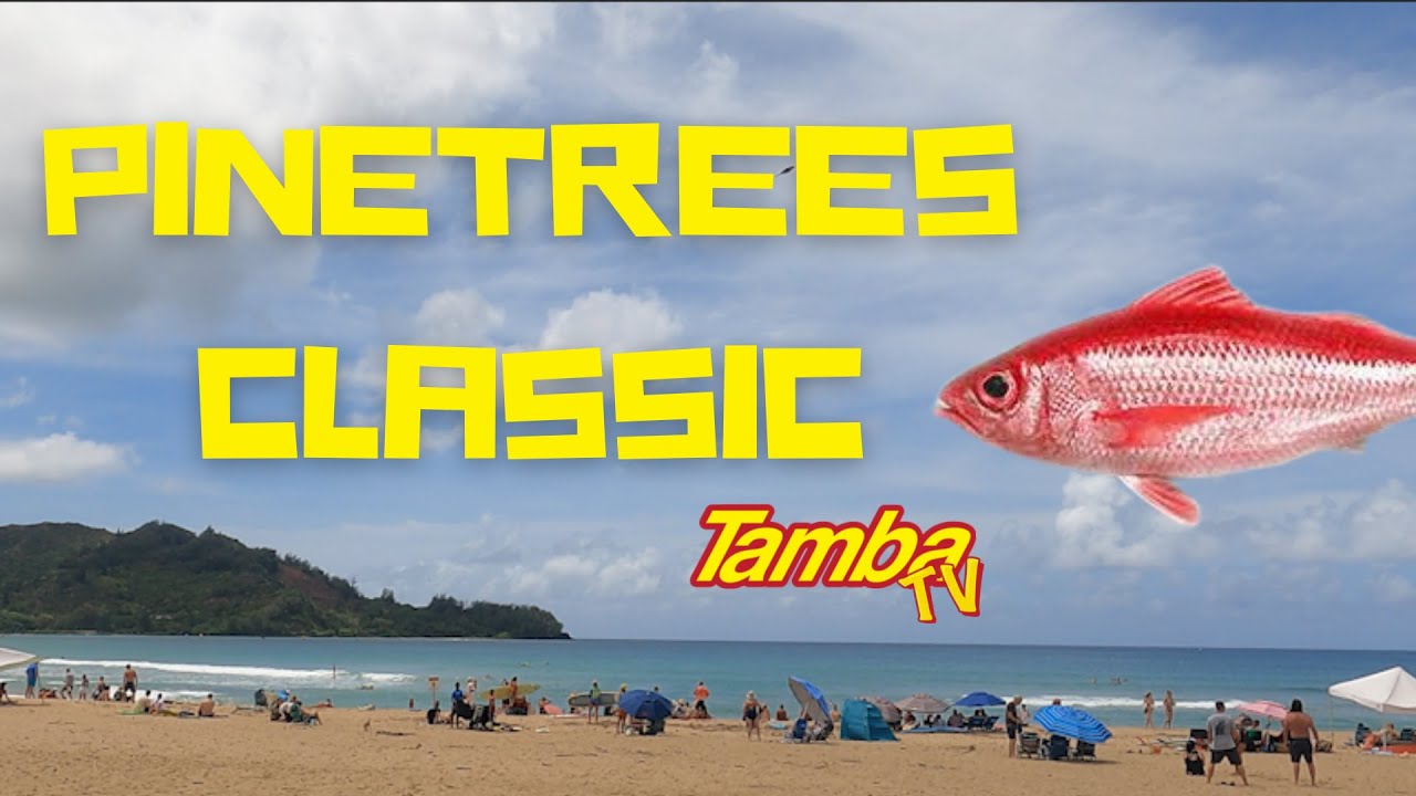 Heats from the 2022 Pinetrees Longboard Classic Hanalei Bay Kauai