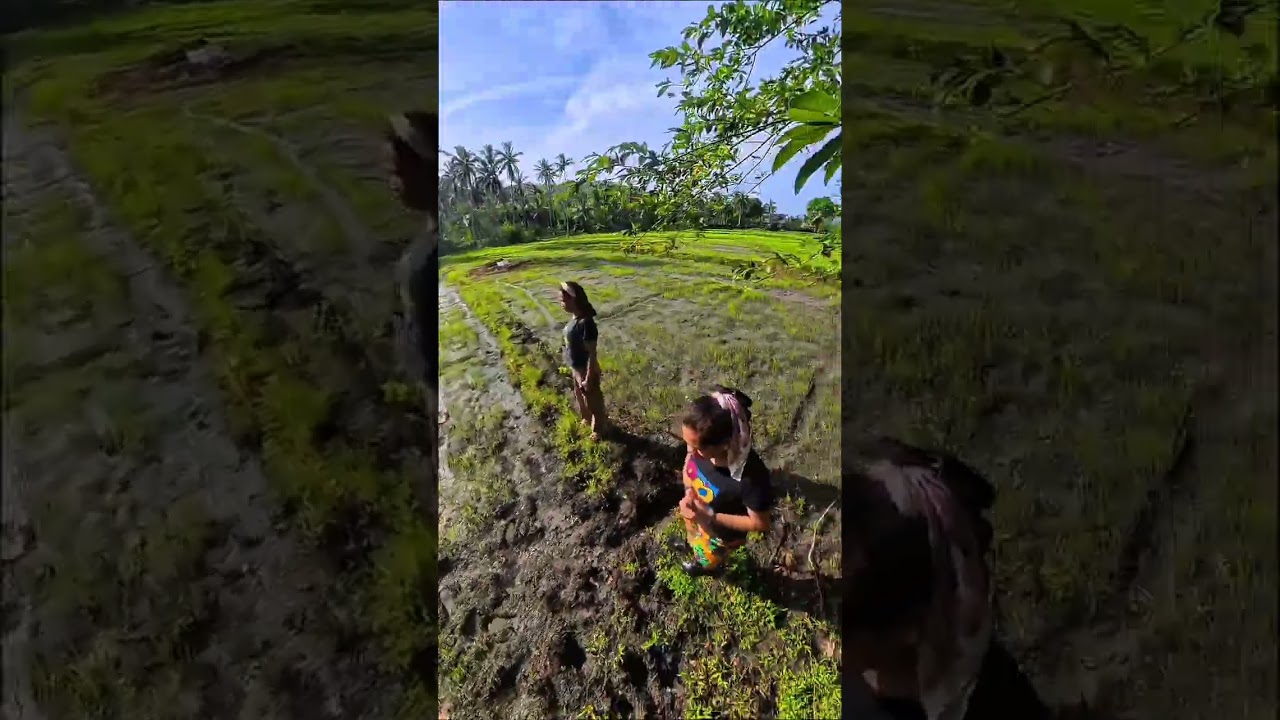 Part 3 - Bicol Vacation #provincelife #naturelovers #nature #travel