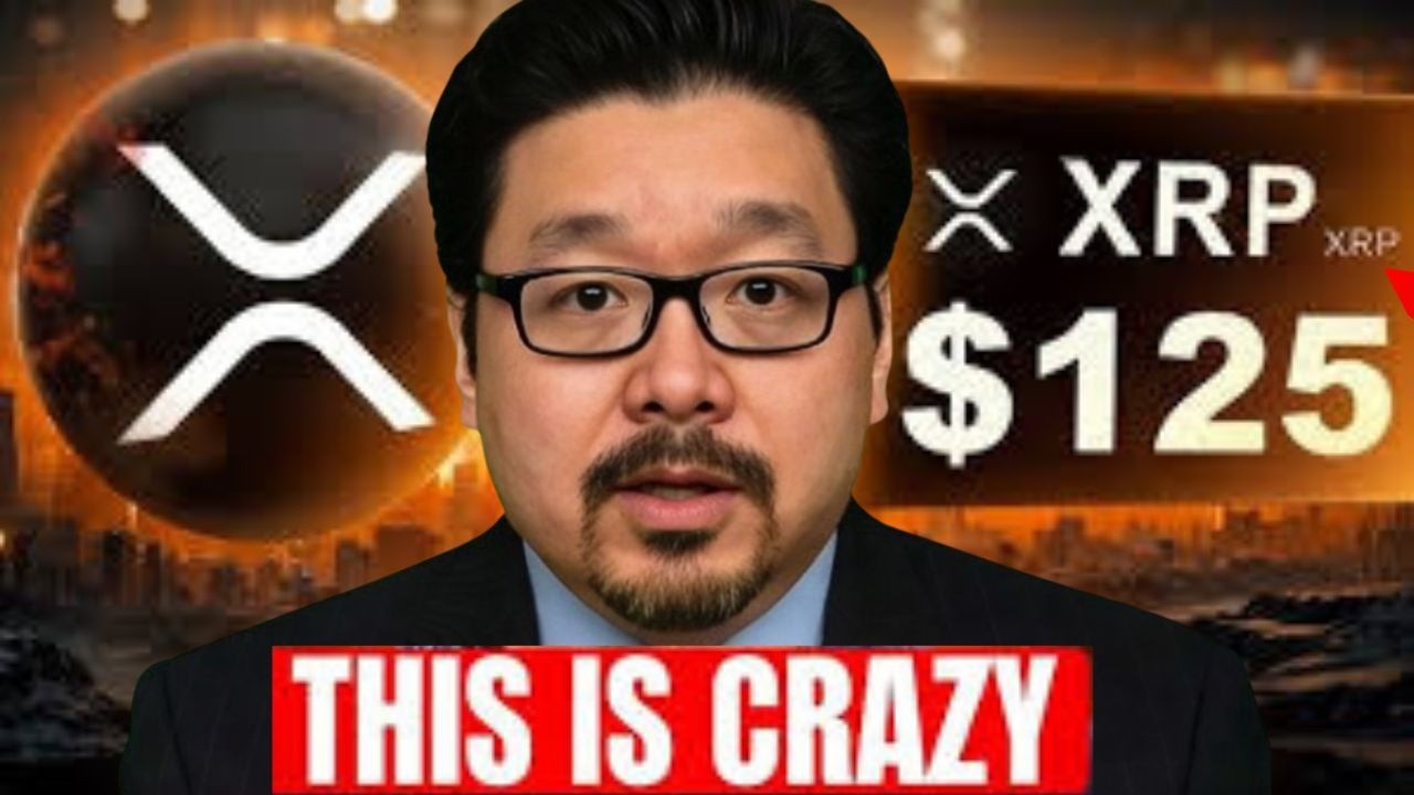 XRP I CAN'T BELIEVE WHAT I AM SEEING!