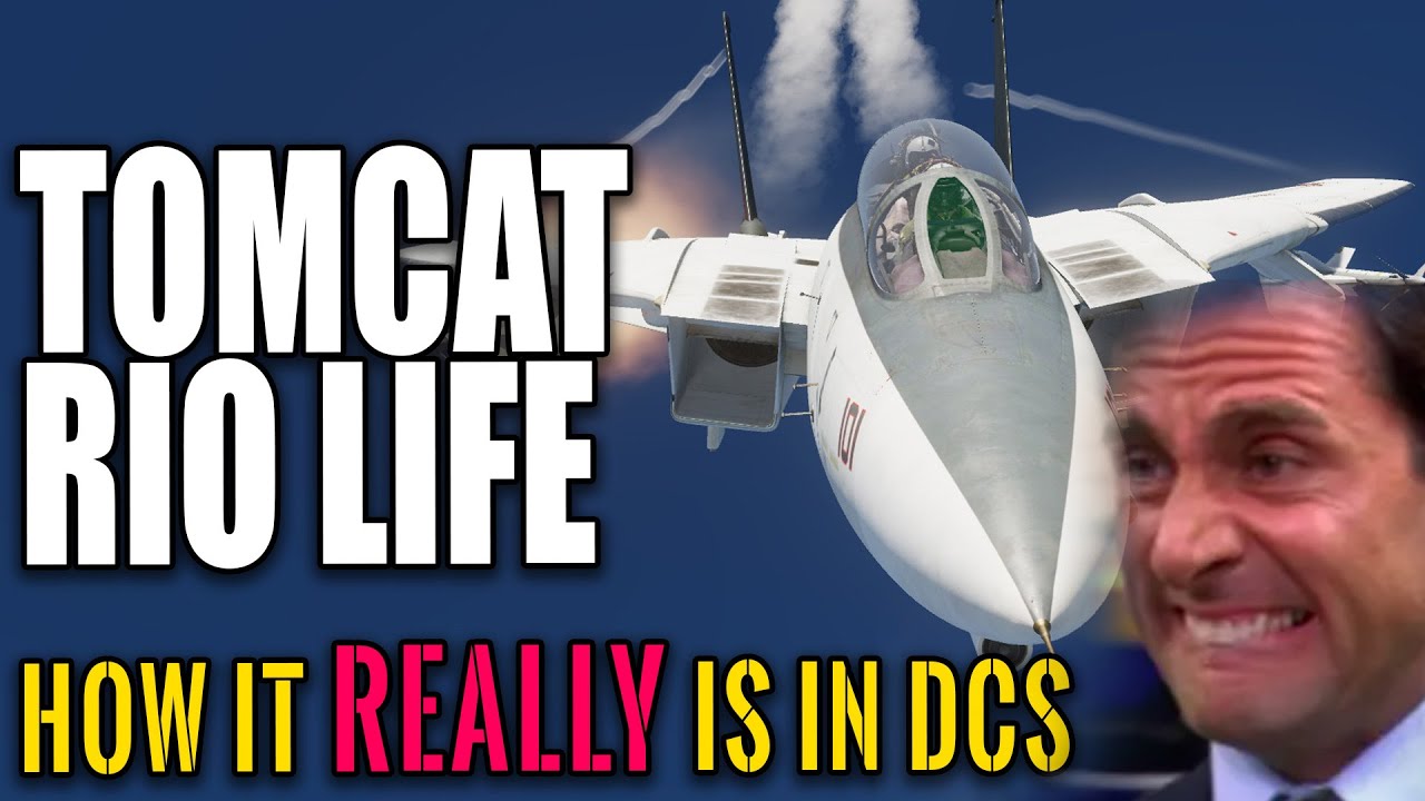 flying f-14 tomcat (DCS is not a horror game) 😈 meme