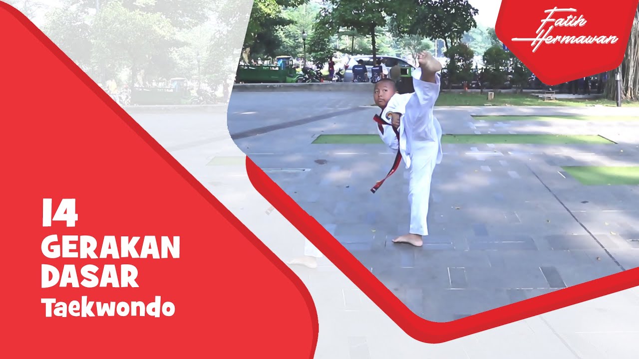 14 Gerakan Dasar Taekwondo (14 Kinds Taekwondo Basic Movement) | Fatih