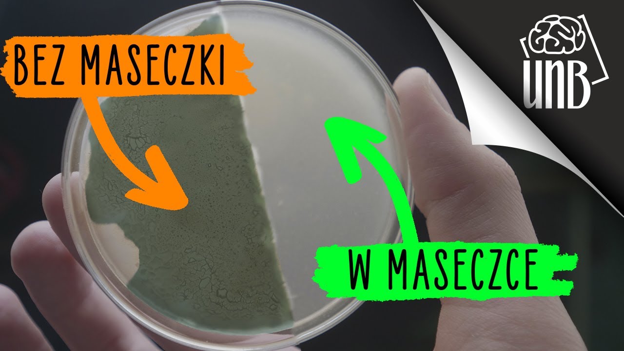 Czy maseczki działają?