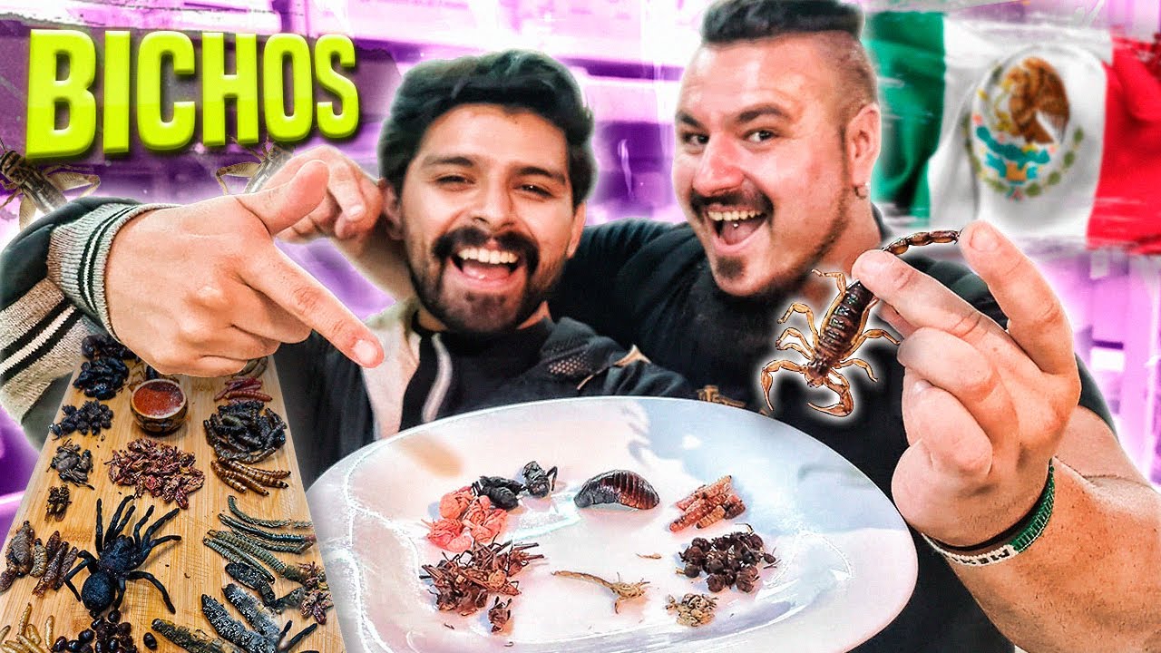 ESPAÑOLES probando BICHOS por PRIMERA VEZ en MÉXICO 🕷🦗🐜🦂HAKUNA MATATA