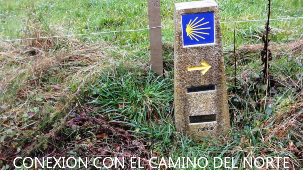 CAMINO DE SANTIAGO, ALTERNATIVA LUGO-FRIOL- SOBRADO DOS MONXES,  DICIEMBRE 2019