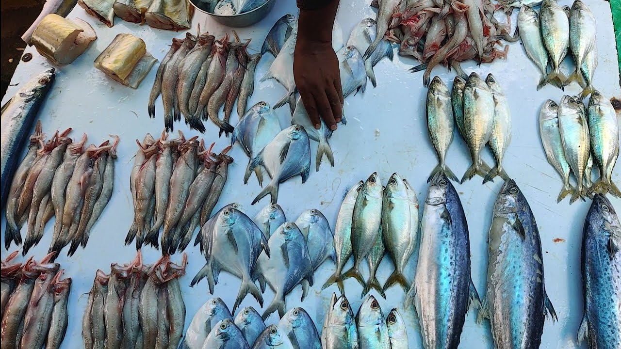 Amazing White Pomfret Fish Cutting | Local Kamothe Fish Market Navi Mumbai