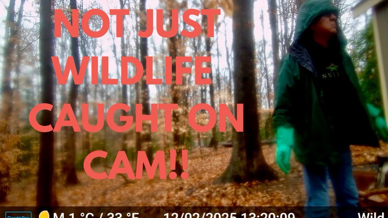 Wasn’t Just Wildlife our Trail Cam Captured | December & January Footage with Unexpected Visitors 