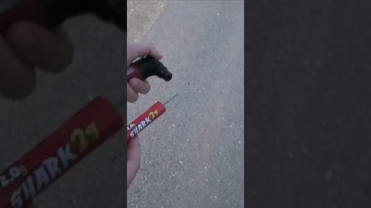 Jorge Shark 2g💥 Top B&ouml;ller Neuheit 2025!🔥