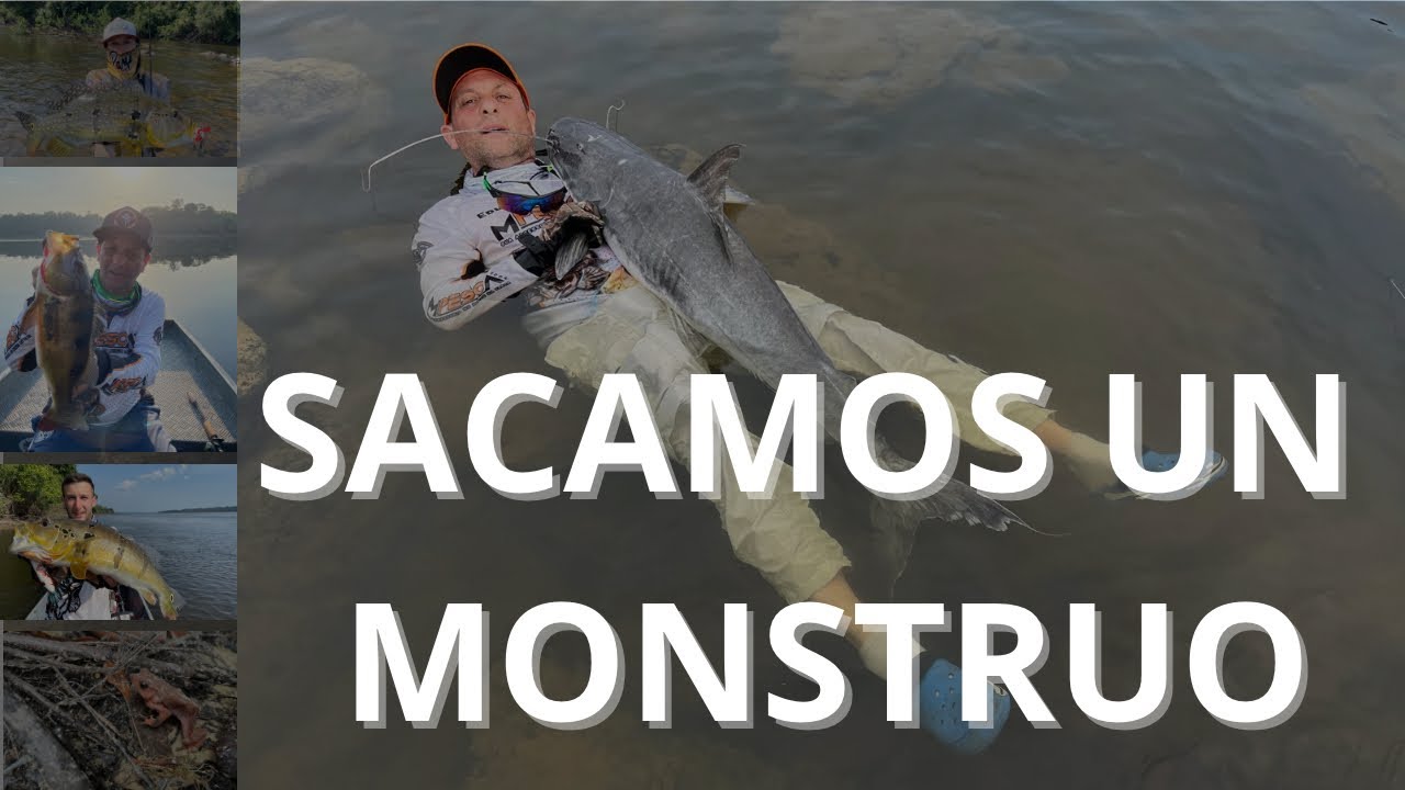 TREMENDA PESCA 😱 MUCHOS ANIMALES Y NATURALEZA - AMAZONAS - RIO TROMBETAS - BRASIL  🇦🇷 🇧🇷 🎣