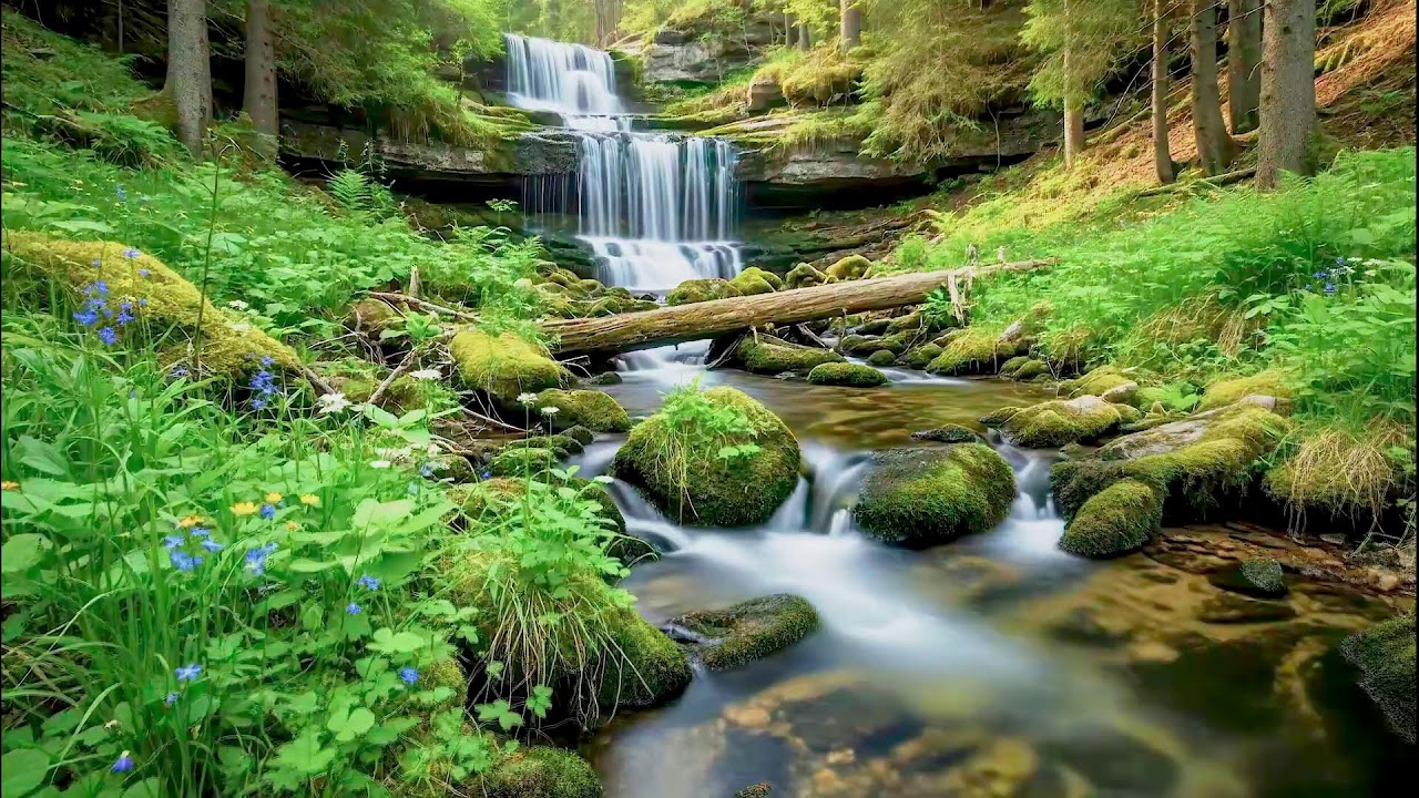 Natural River Sound for Deep Sleep | Stress Relief Audio for Health & Mindfulness