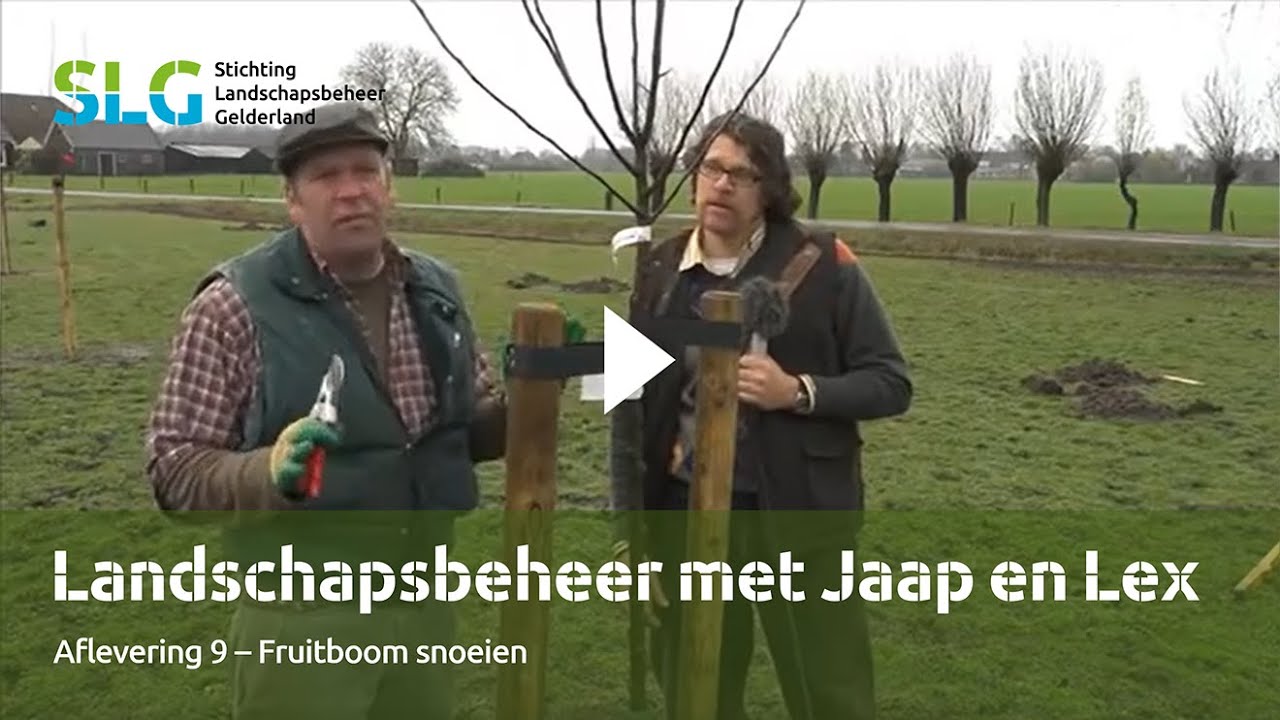 Fruitboom snoeien - Aflevering 9 van Landschapsbeheer met Jaap en Lex