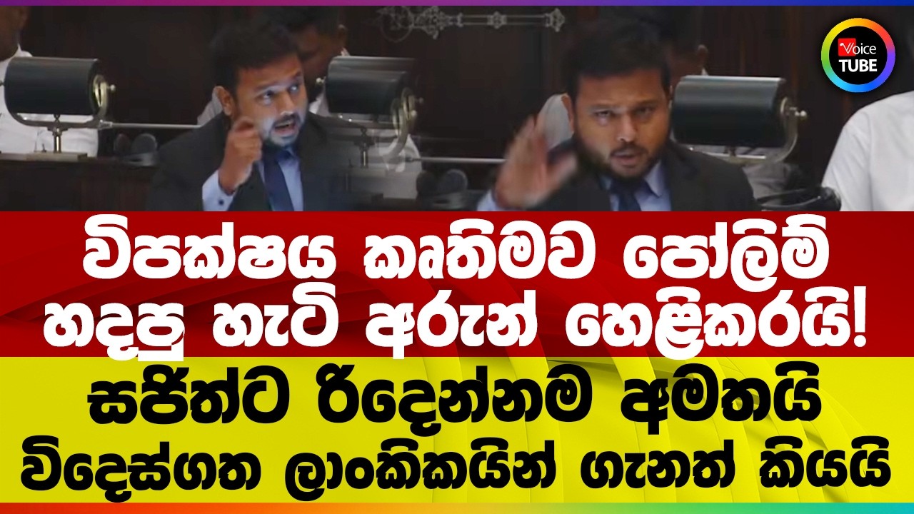විපක්ෂය කෘතිමව පෝලිම් හදපු හැටි අරුන් හෙළිකරයි! සජිත්ට රිදෙන්නම අමතයි