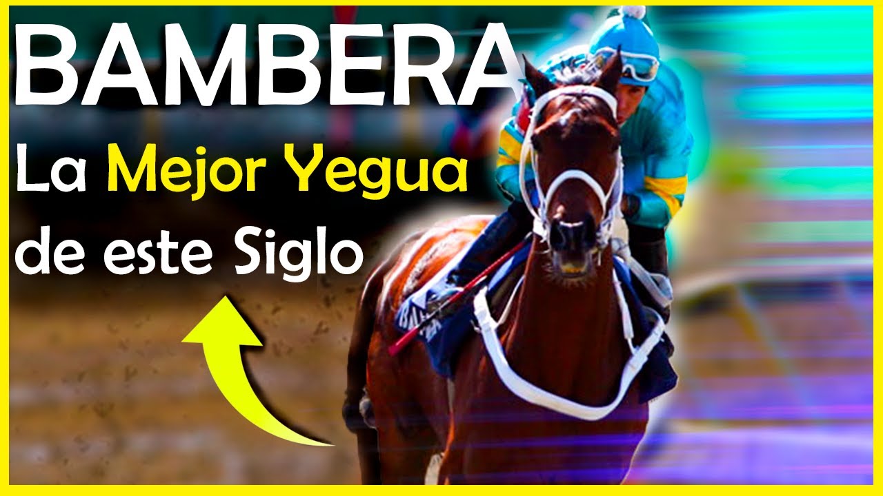 BAMBERA 🔥 Muy Difícil de superar en el futuro (Simón Bolívar, clásico del Caribe y Estados Unidos)