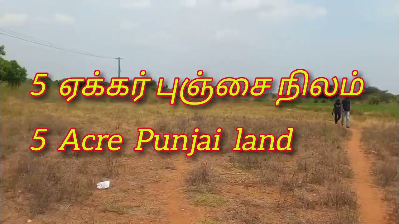 திருச்சி அருகே புஞ்சை நிலம் 5 ஏக்கர் விற்பனைக்கு.. 5 Acre Punjai Land for sale near Trichy