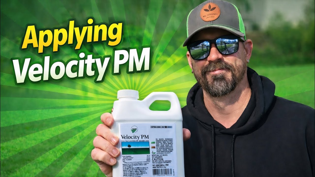 Round 1 of Velocity PM // Tips, Targets & Rates