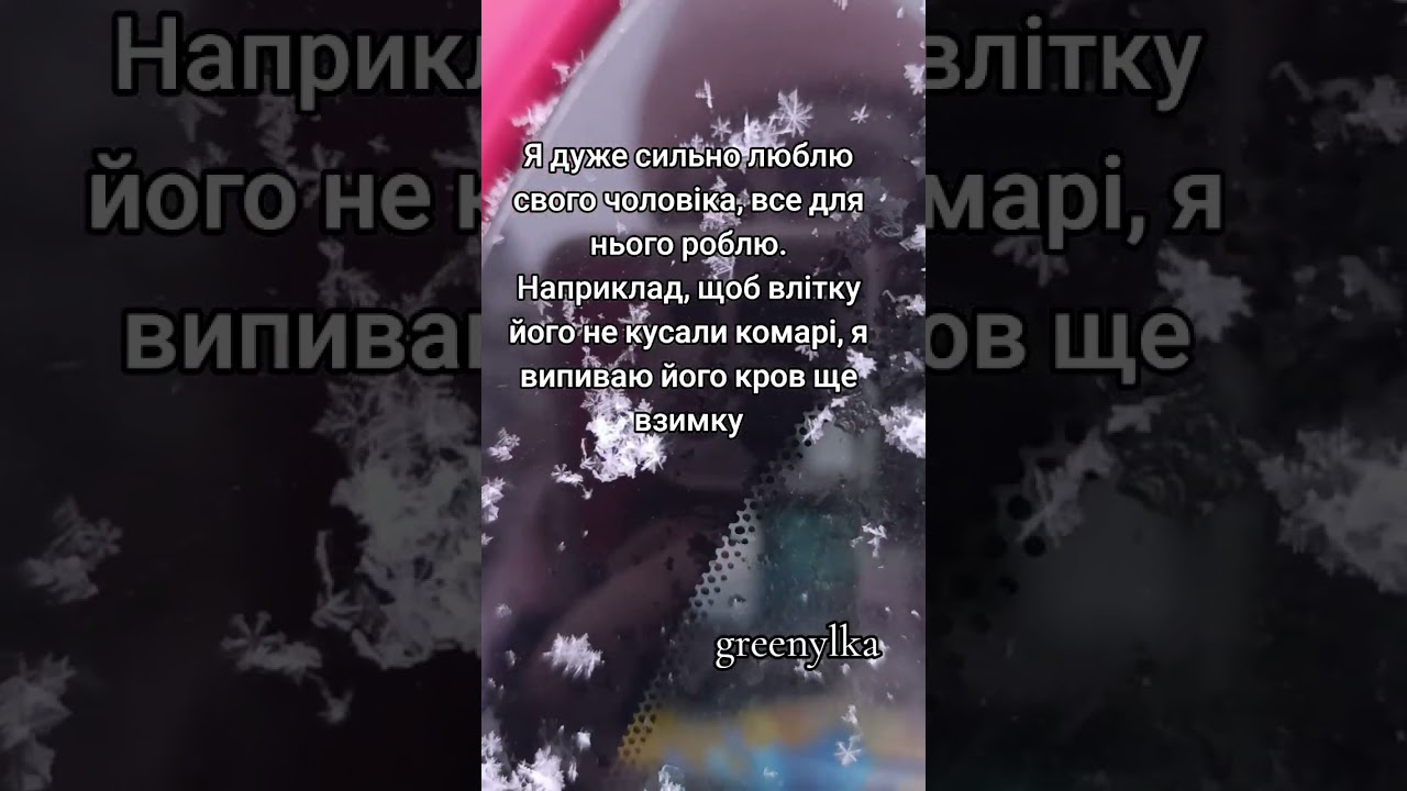 Не даю комарам шансу 