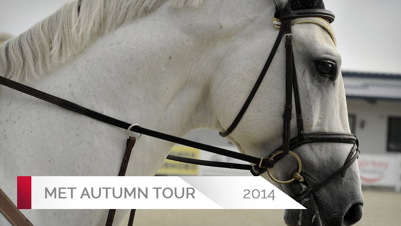 TOSCA DE L'ESQUES - Regis Bouguennec - 7 Years - 1,35m - Valencia (24.10.2014)
