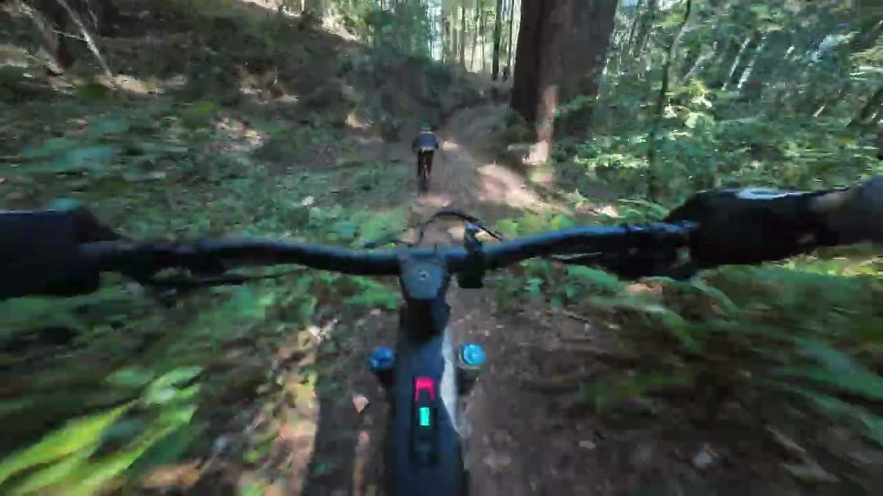 UCSC Steep 5 ⚠️ 
