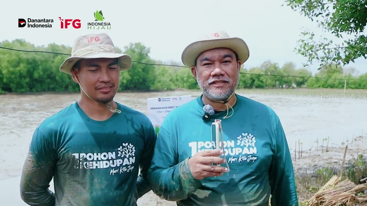 Mencegah Abrasi dengan Menanam Pohon Mangrove kolaborasi antara IFG bersama Indonesia Hijau