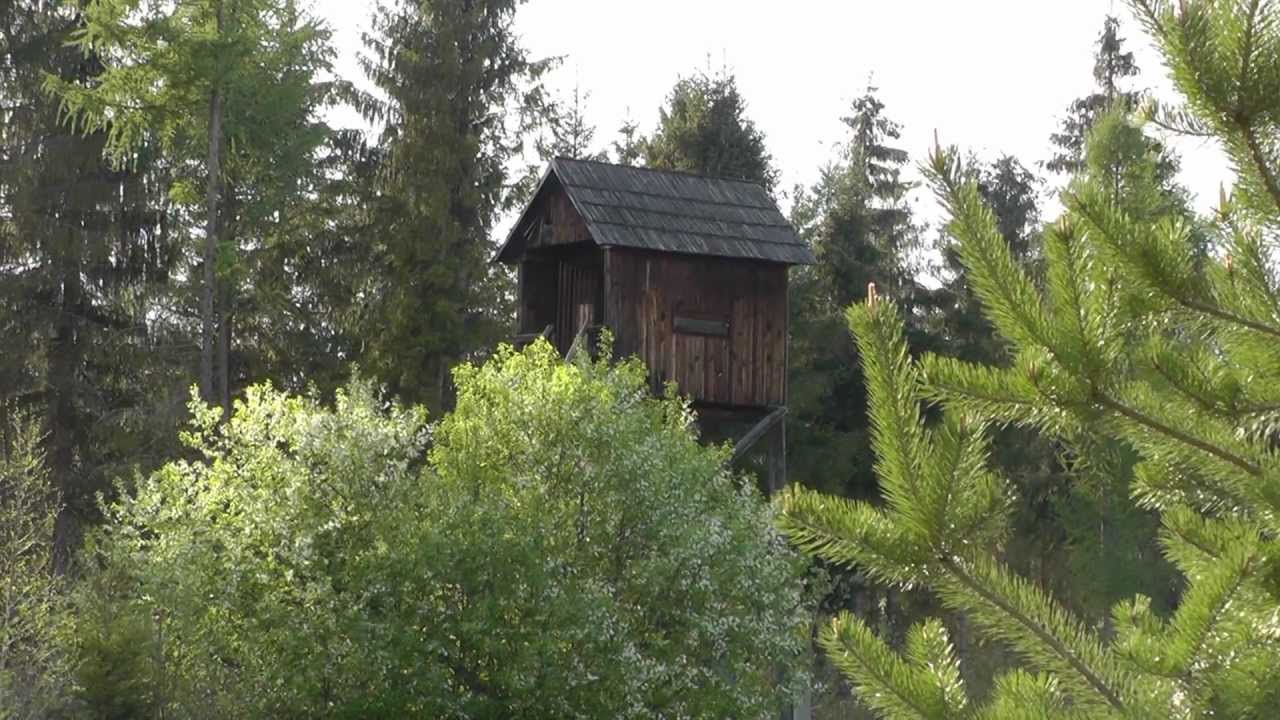 Panasonic HC-V700 test video, audio and foto.