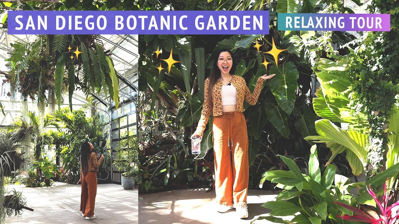 Relaxing plant tour 😌🌿 San Diego Botanic Garden Conservatory