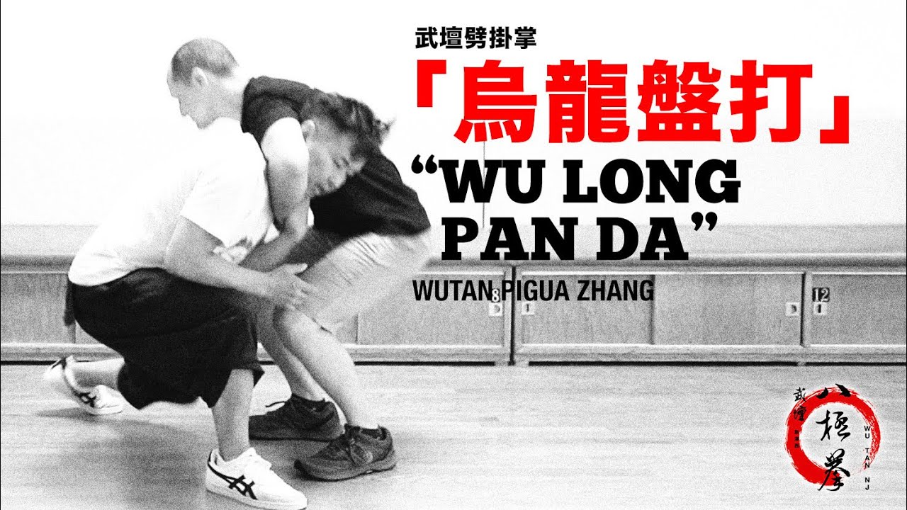 武壇劈掛掌「烏龍盤打」「輪撲掌」應用WuTan Pigua Zhang “WuLong PanDa” Apllication