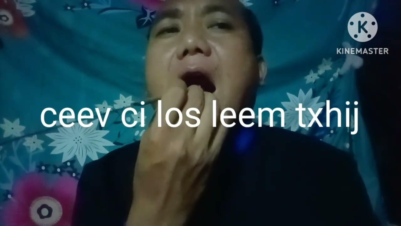 qhia khawv koob rho ntxhia thiab pob zeb sau ua ntawv&qhia ntshuaj poj niam hlauv duav