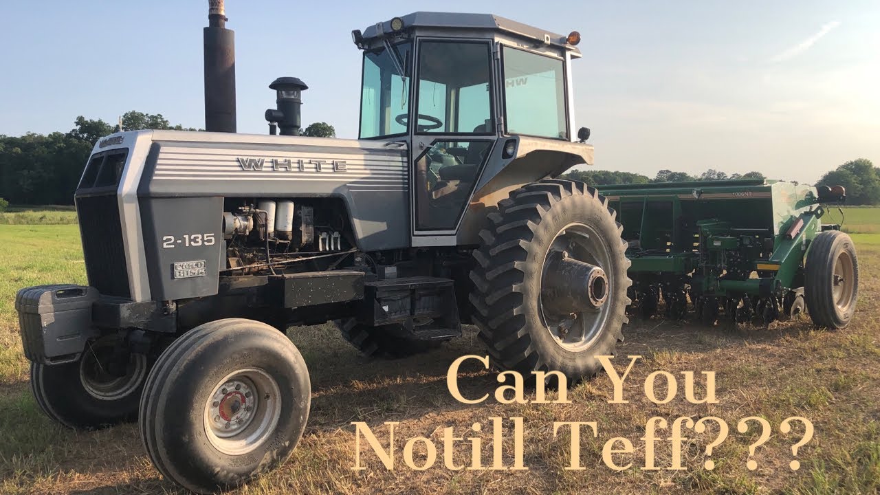 NOTILL Teff in Thin Spots and Fertilizer