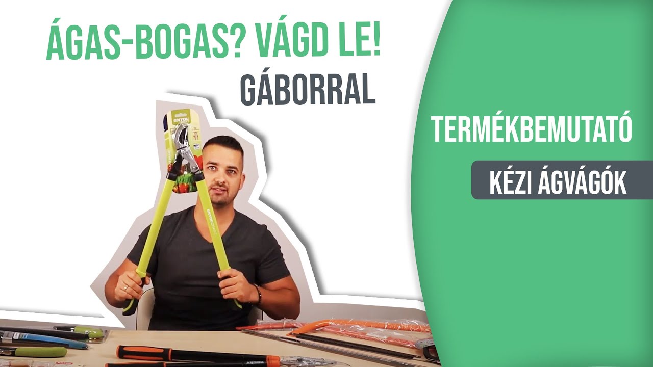 Kézi ágvágás, fűrészelés, metszés - milyen szerszámokat érdemes használni?