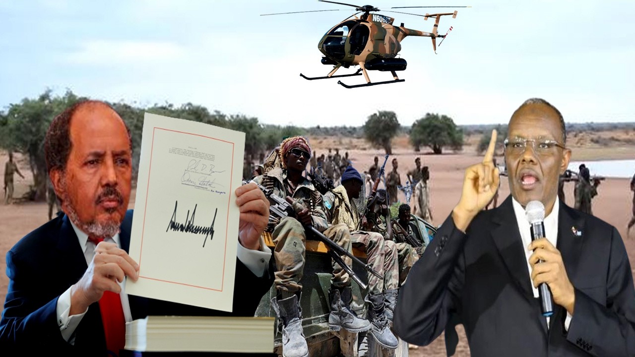 DEG DEG DFS miyaa Dacwo ku Oogtay Lafta gareen, Turkiga oo Akoonadii Lafta gareen Xayiray, Xaalad