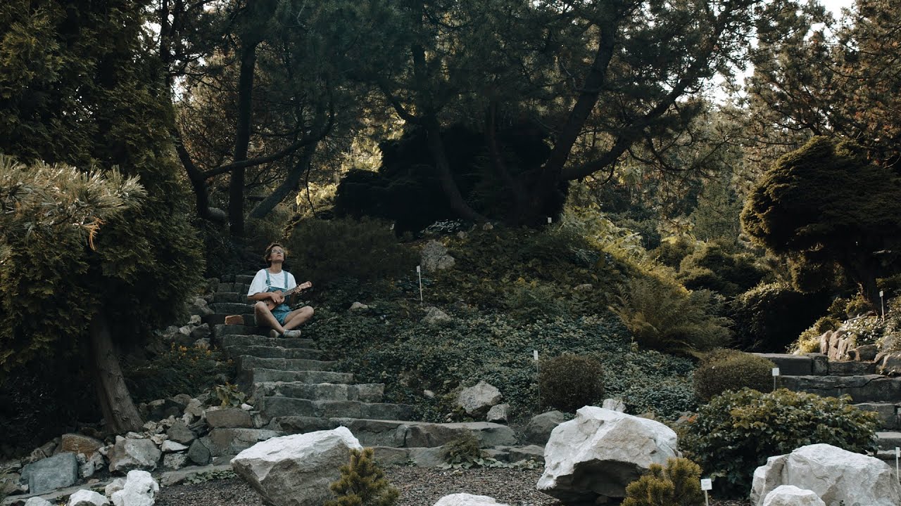 Asia Nawojska - Polko