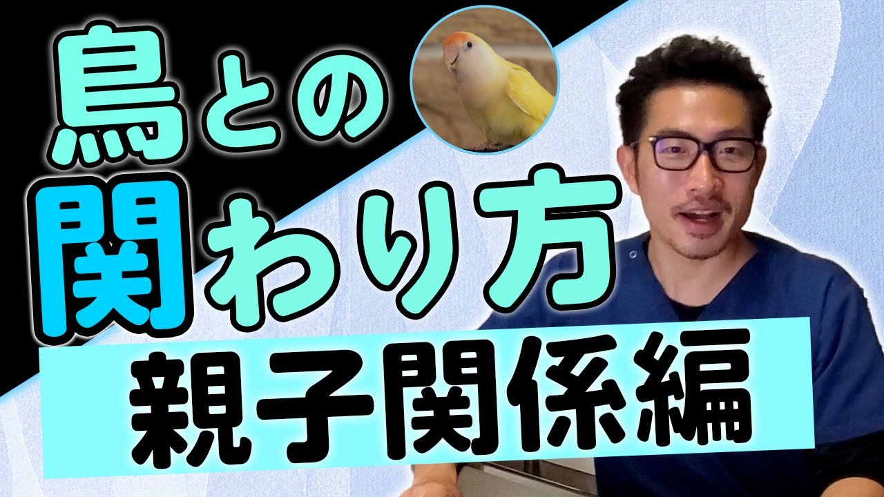 【インコ・オウム】鳥さんと正しい「絆」の結び方② ～親子関係編～