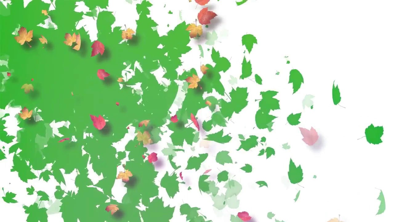 Green Screen Templates for Kinemaster | Birthday Green Screen Templates | Green Screen Tamples