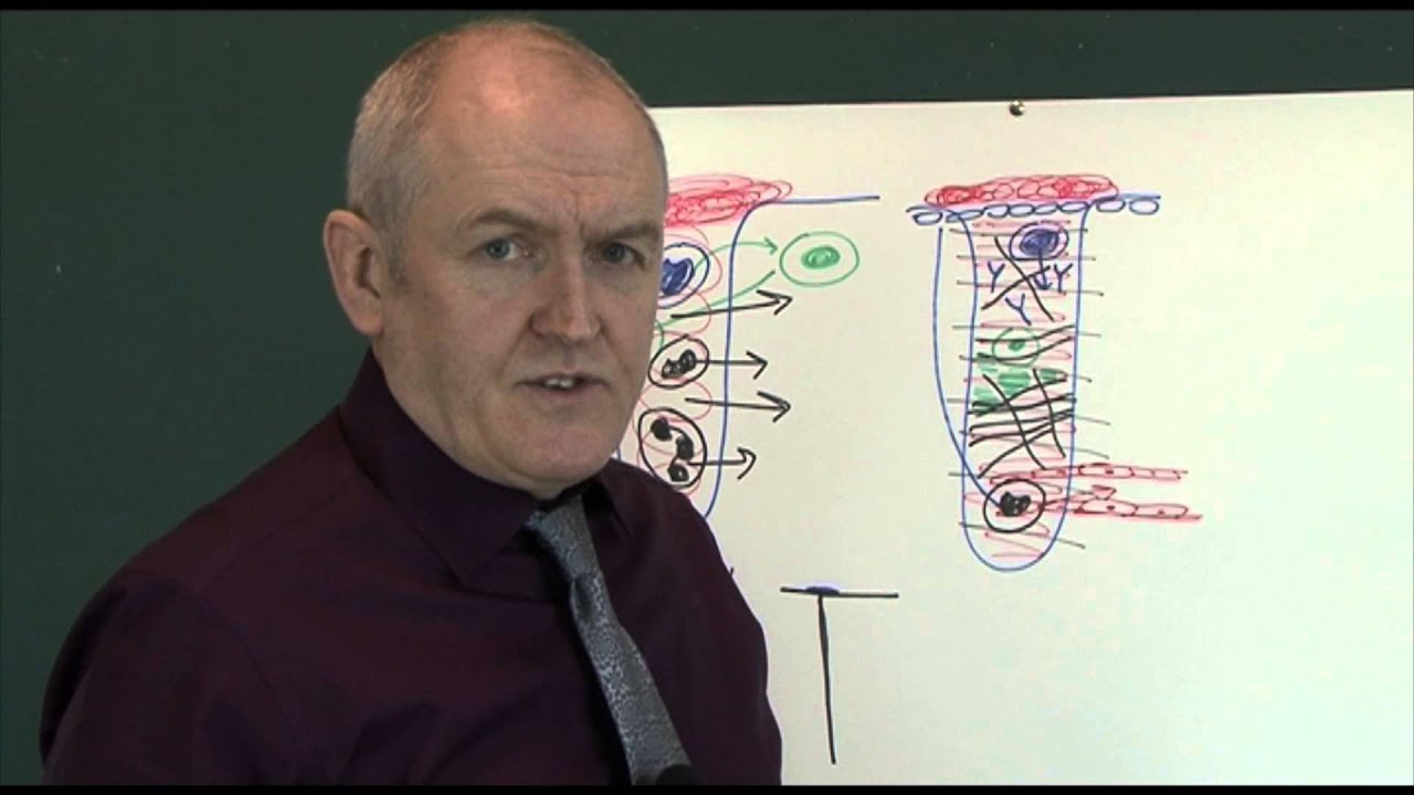 Wounds and healing 7, Healing physiology