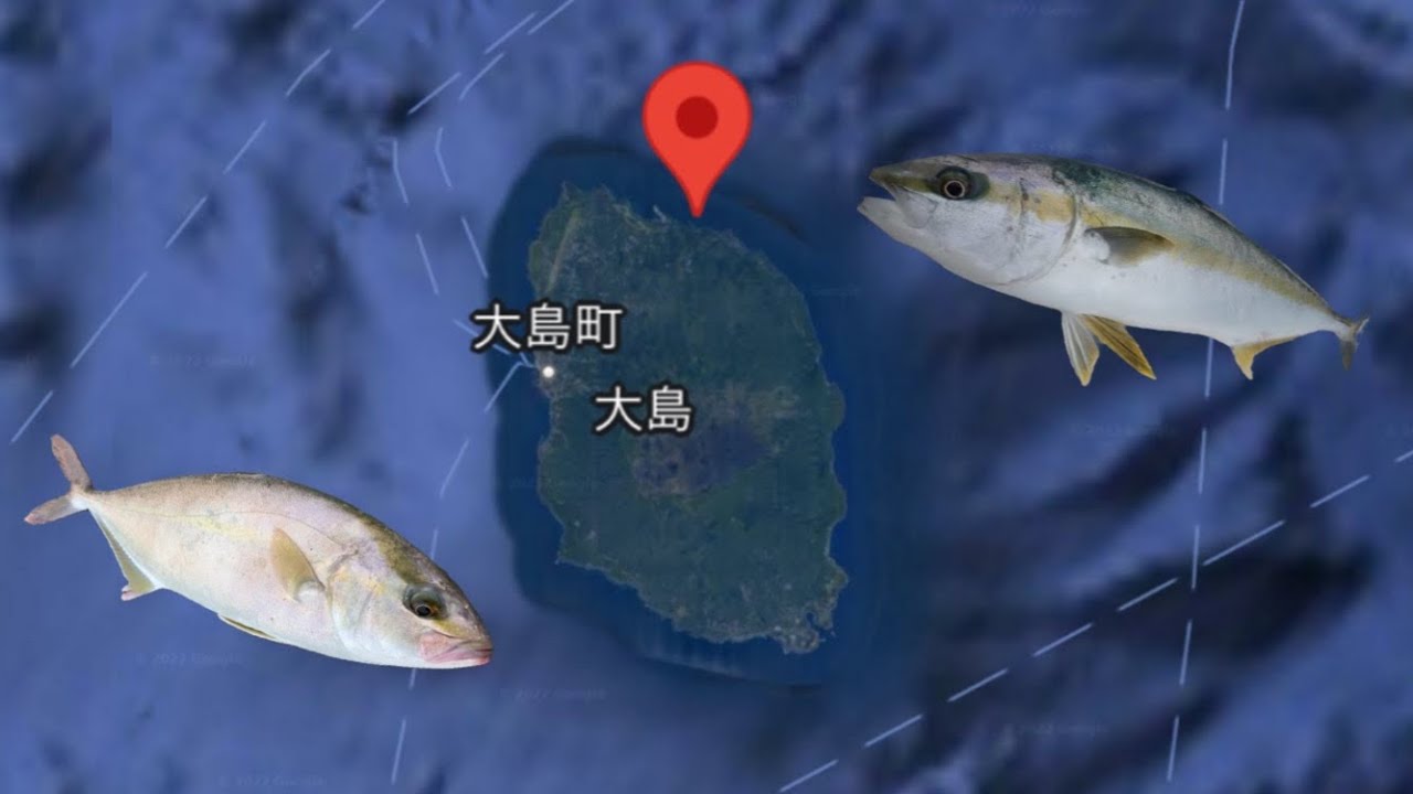 本当は教えたくない！大物が釣れる伊豆大島の地磯