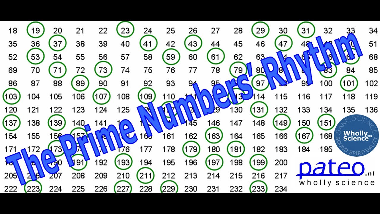 Pateo TV on the Prime Numbers&rsquo; Rhythm