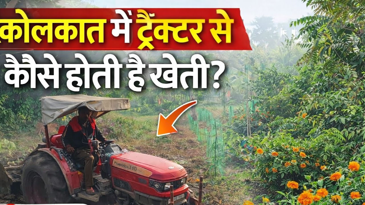 Khet ko tractor se kaisa jotate gaya | nursery in kolkata | enjoy farming vlog 🚜....