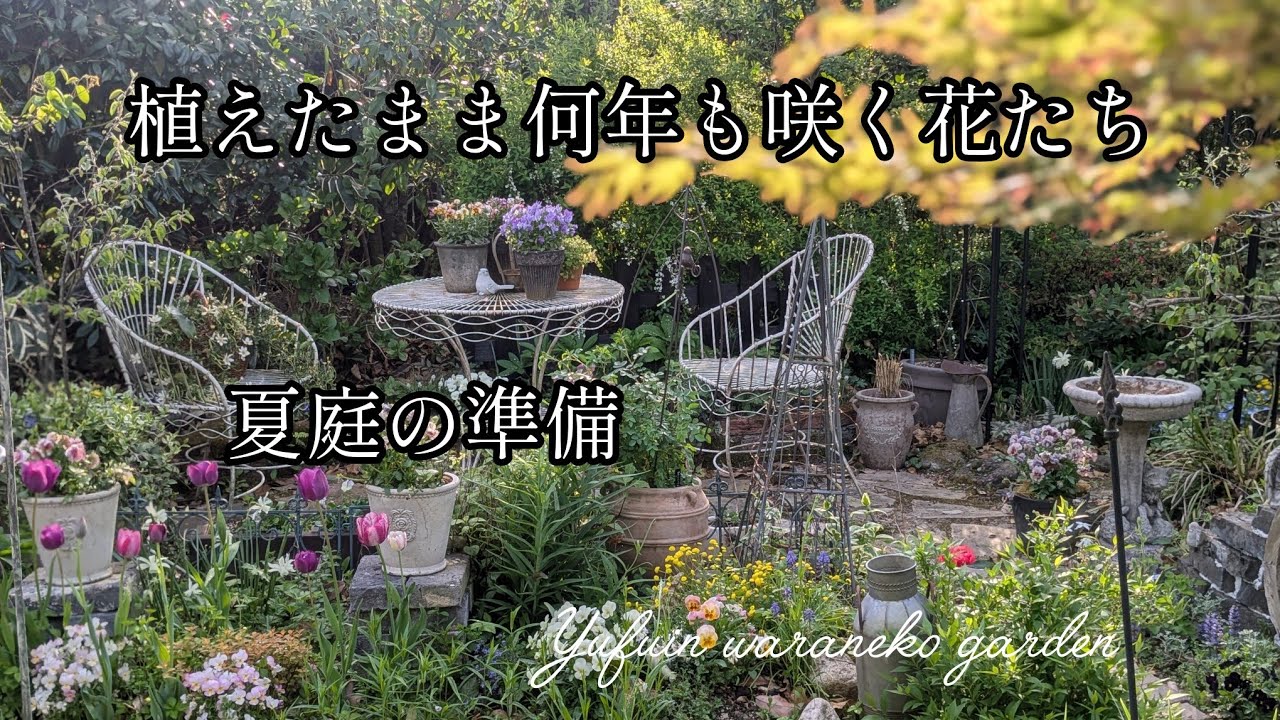 【2025.４〜５月初旬】何年も咲く花たち.夏庭の準備