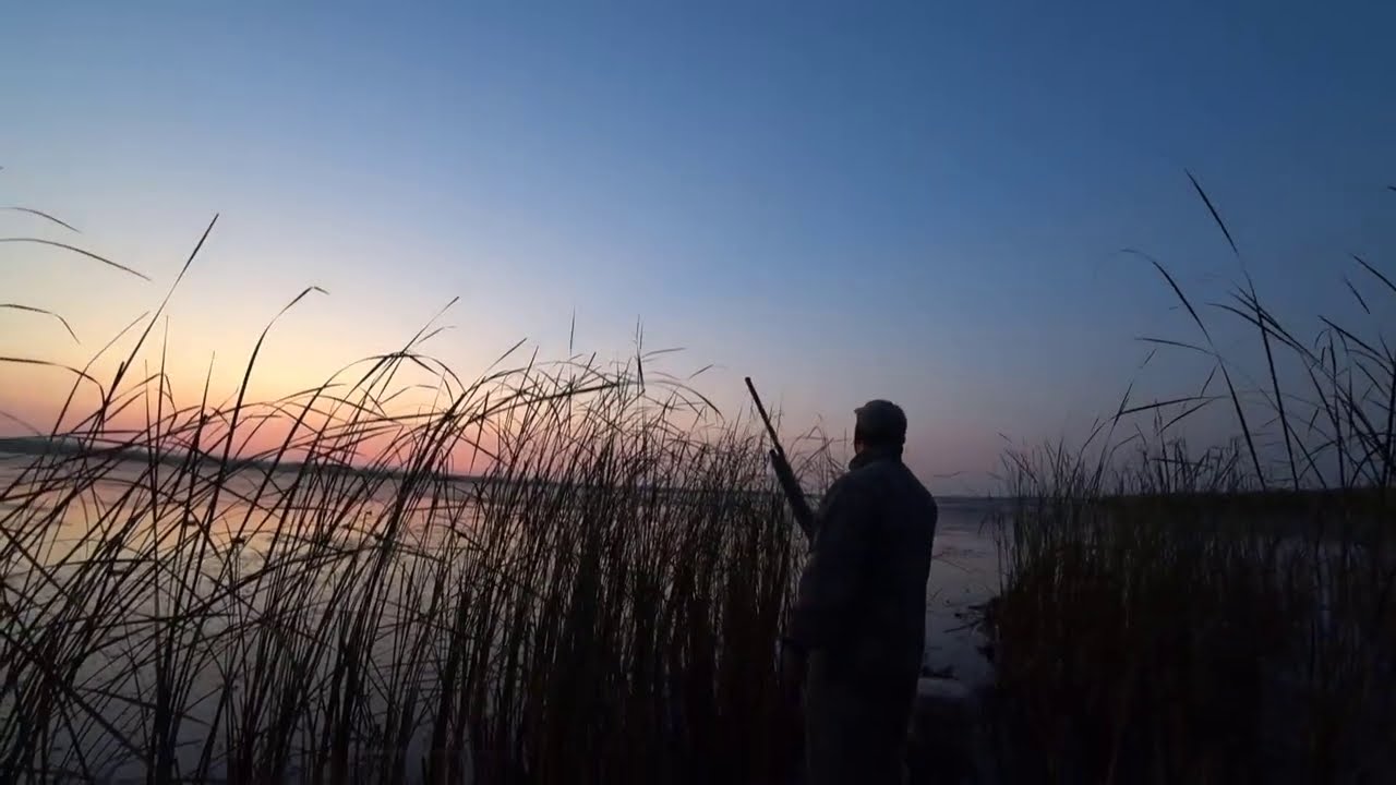 ОХОТА НА УТКУ И ЛЫСУХУ в Коробовке.