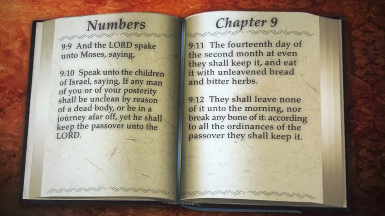 Numbers Chapters 8 - 10 For March 4
